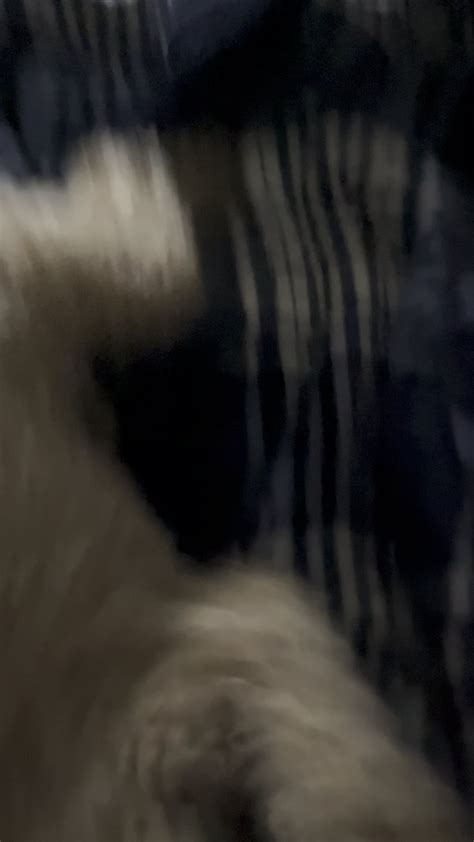 Is this cause for a vet visit? : r/poodles