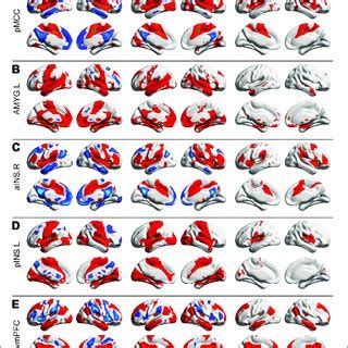 Positive And Negative Functional Connectivity Maps Seeded From The