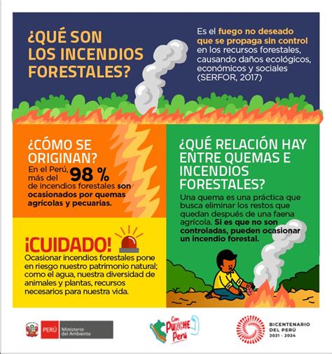 Incendios forestales en Perú conoce las causas consecuencias y cómo