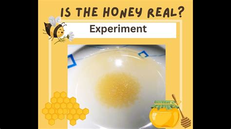 How To Find Out If Honey Is Real Honey Experiment Youtube