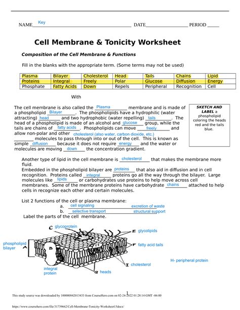 Cell Membrane And Tonicity Worksheet Worksheets Library