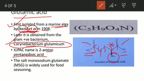 Production Of Lysine And Glutamic Acid Youtube