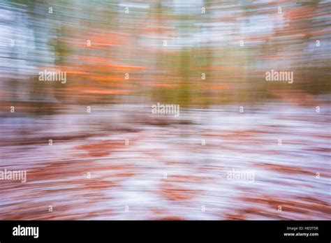 Abstract Winter Forest Background Blurry Abstraction With Motion