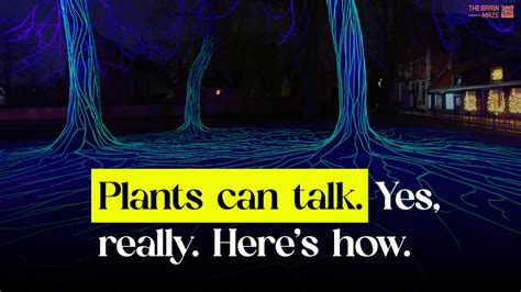 How Plants Communicate With Each Other When In Danger Youtube