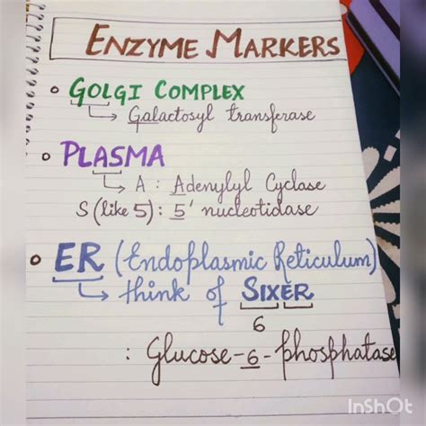 Neet Pg Made Easy Mnemonics For Biochemistry Physiology Youtube