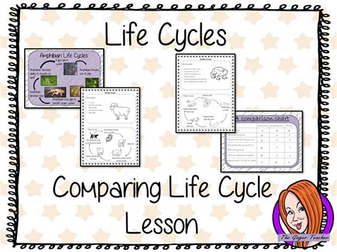 Printable Life Cycle Chart Life Cycles Graphic Organizers Printables The Best Porn Website