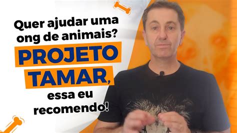 Descubra e se surpreenda o Projeto Tamar na preservação de animais