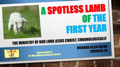 A Spotless Lamb Of The First Year A Chronological Walk Through Of Our