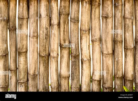 Bamboo Fence Background Stock Photo Alamy