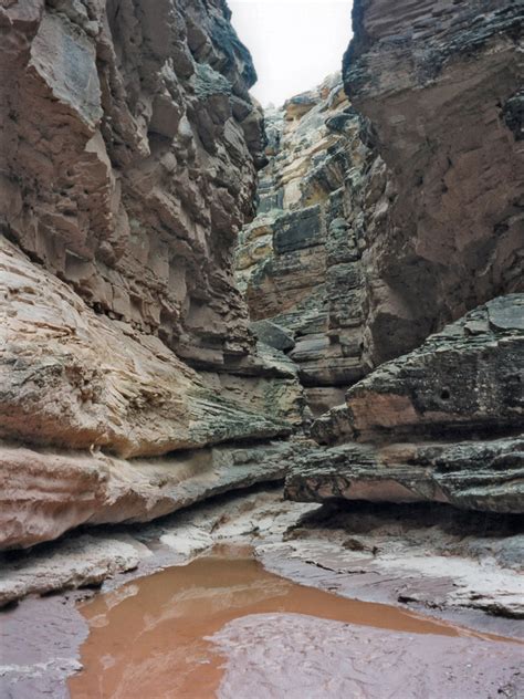 Pool In The Canyon Jackass Creek Arizona