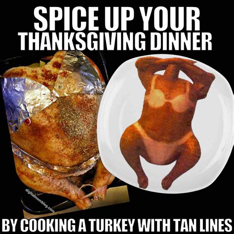 Funny Turkey Meme