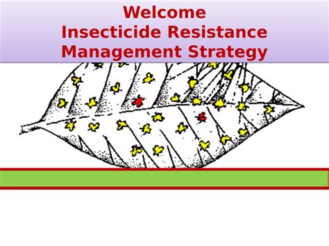 Pdf Insecticide Resistance Management Strategy