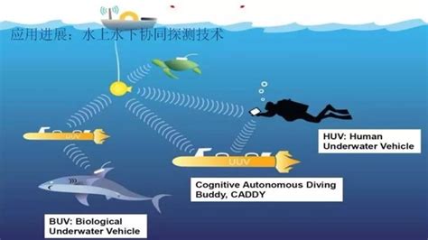 海洋探测无人艇技术最新应用进展无人船行业资讯资讯无人系统网专业性的无人系统网络平台