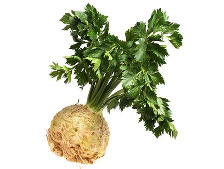 celeri rave les jardins de vartan maraicher