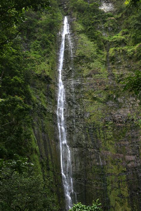 Waterfall in Hawaii stock image. Image of america, tall - 1746305