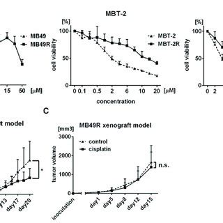 Expression Levels Of Chemokines In Cisplatin Resistant Cells Compared