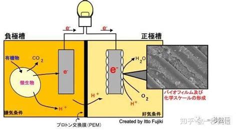 让绿色循环 微生物燃料电池 知乎