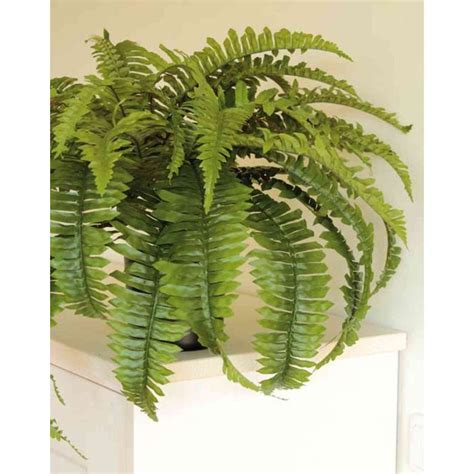 Artificial sword fern MARILYNNE green 18 45cm Ø30 75cm