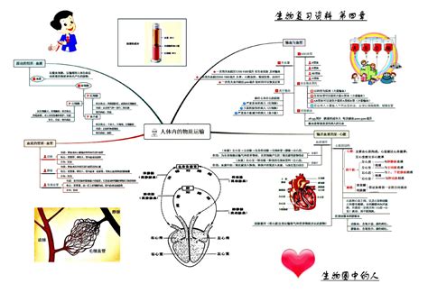 人教版七年级生物下册复习资料 思维导图word文档在线阅读与下载免费文档