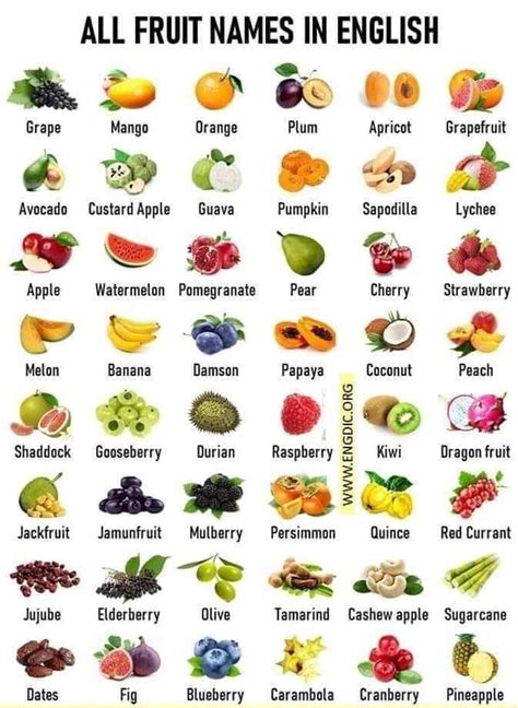 Fruits Name List Fruit List Eat Fruit Fruits And Vegetables Names