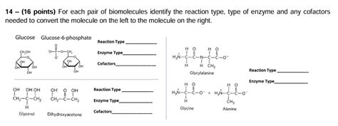 Solved 14 16 Points For Each Pair Of Biomolecules Chegg