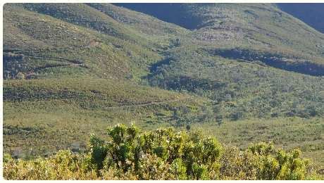 Helderberg Nature Reserve Cape Of Fun