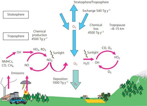 Ozone Air Pollution Information System