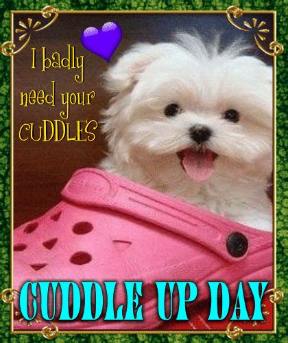 Maybe This Year To Balance The List Free Cuddle Up Day Ecards