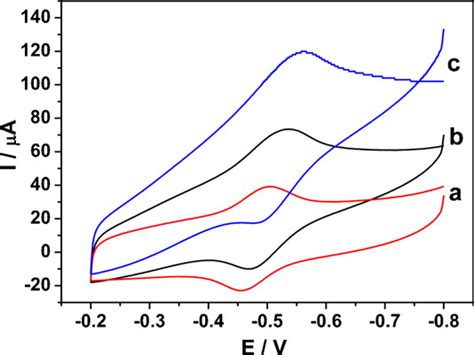 Cyclic Voltammograms Of Sox Agnps Graphene Chitosan Gce In M Pbs