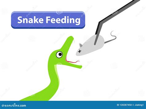 Green Snake Feeding With Raw Rat In Vector Art | CartoonDealer.com #120287450