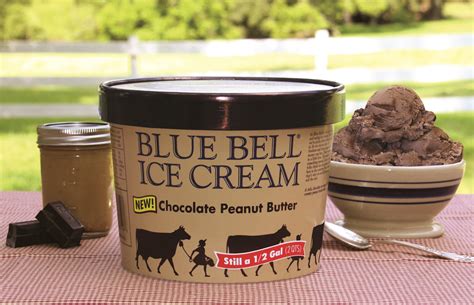 5 Blue Bell Ice Cream Recipe Article PETSXI