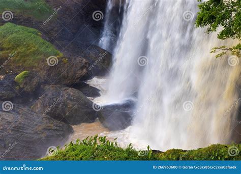 Elephant waterfall stock photo. Image of jungle, cascade - 266963600