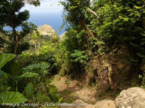 Hiking on Saba: Your Guide to 17 Stunning Trails | Life On The Roam