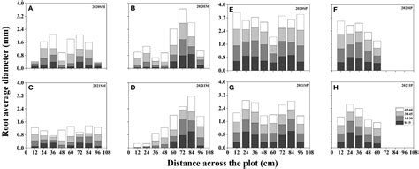 Frontiers Border Row Effects Improved The Spatial Distributions Of