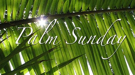 Palm Sunday Of The Lords Passion In Person And Livestream Online