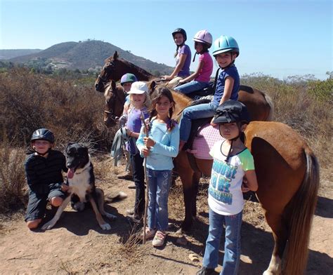 Horseback riding camp this week | Mega Arte Riding Academy Blog