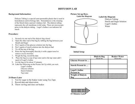 Dialysis Tubing Diffusion