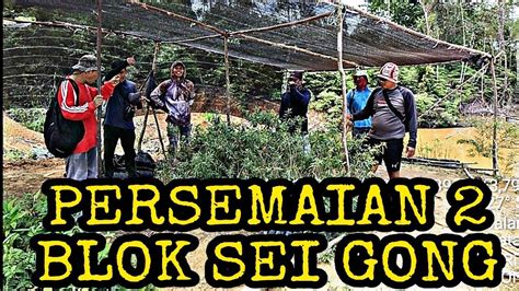 Bendungan Sei Gong Dan Persemaian Blok Sei Gong Youtube