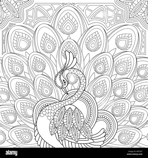 Elegant Peacock Coloring Page In Exquisite Style Stock Vector Image And Art Alamy