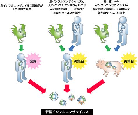 新型インフルエンザの発生に備えて～一人ひとりができる対策を知っておこう 政府広報オンライン