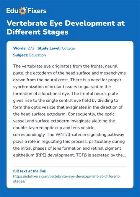 Vertebrate Eye Development at Different Stages
