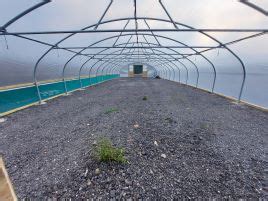 30ft Wide Commercial Polytunnels Premier Polytunnels