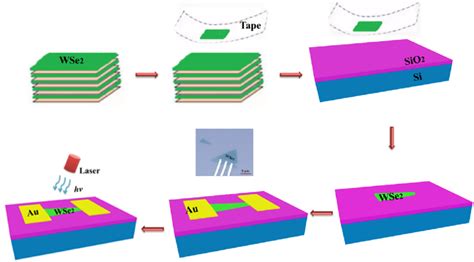 Three Dimensional Schematic Of Msm Wse 2 Flake Photodetector