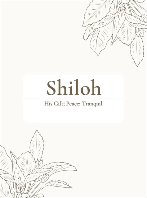 Shiloh | Baby names and meanings, Sweet baby names, Bible baby names