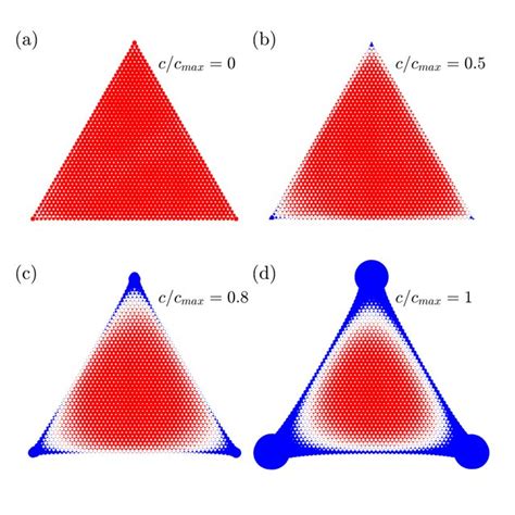 The Distribution Of The Local Magnetization Obtained With The Lswt At