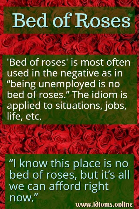 Bed Of Roses | Idioms Online