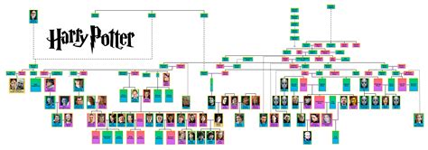 harry potter black family tree 6