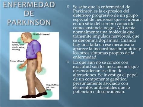 Enfermedades Neurol Gicas Dedegenerativas Ppt