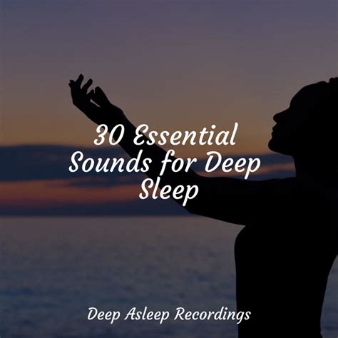 Peaceful Ears Song And Lyrics By Sleep Meditation Dream Catcher