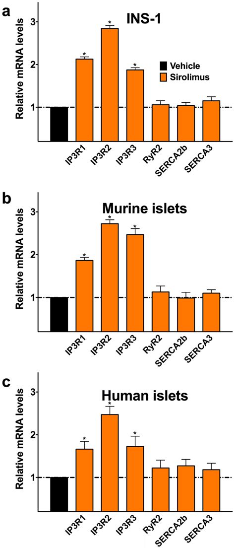 Effects Of Sirolimus On The Expression Of Ip3rs Ryr2 And Serca In